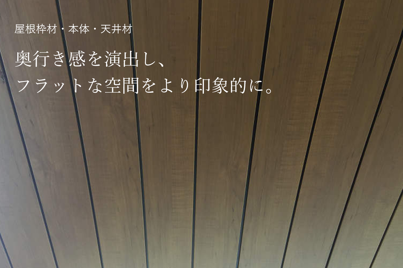 屋根枠材・本体・天井材　奥行を演出し、フラットな空間をより印象的に